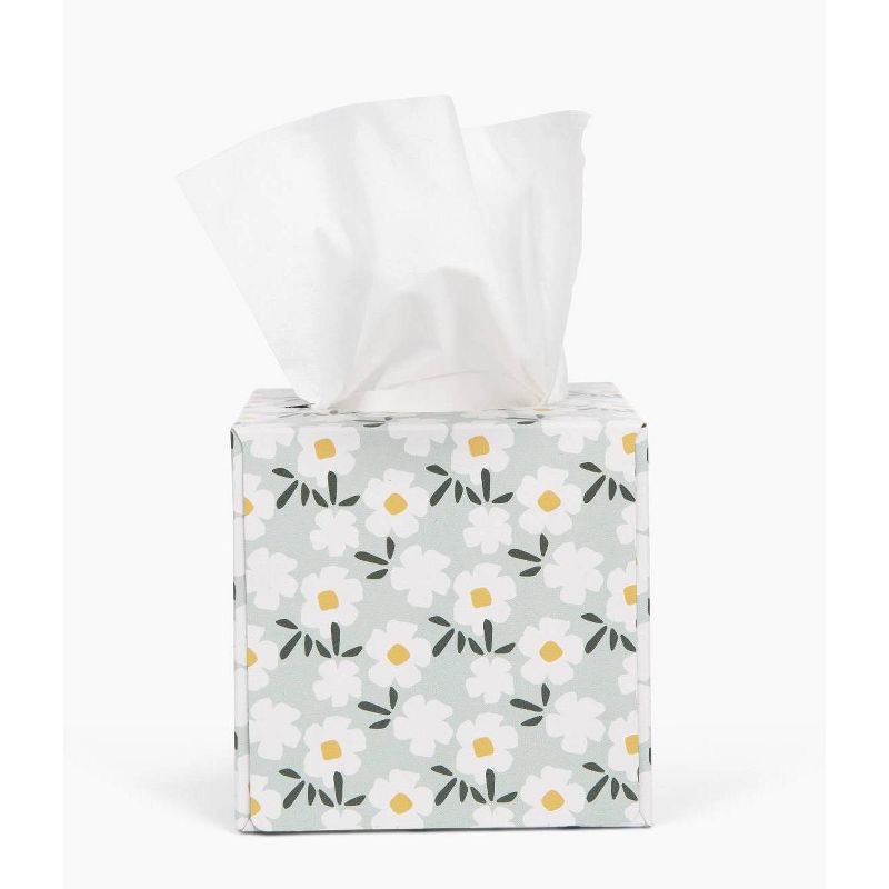 Candid 3-Ply Bamboo Facial Tissue - 66ct