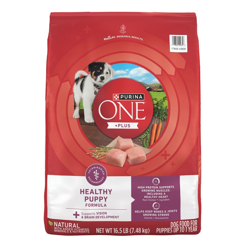 Purina ONE SmartBlend Healthy Puppy Natural Chicken Flavor Dry Dog Food - 16.5lbs