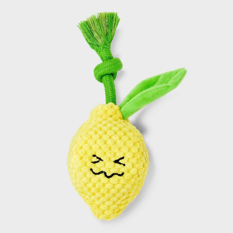 7.5" Lemon Dog Rope Plush Toy - Boots & Barkley™