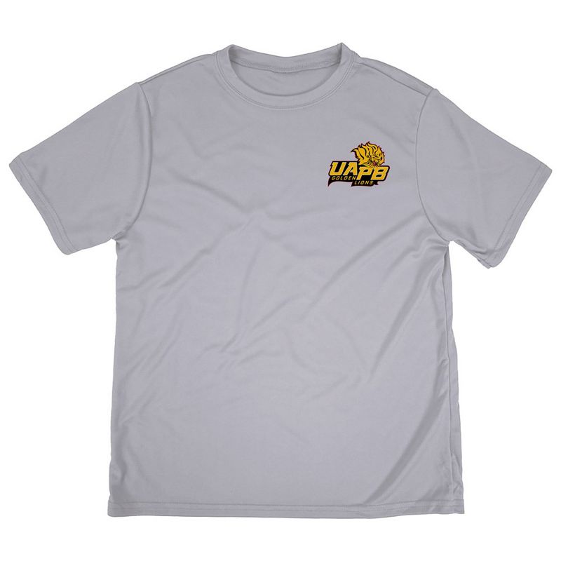 Boys' University of Arkansas at Pine Bluff Sport T-Shirt Left Chest Logo Athletic Heather X Small
