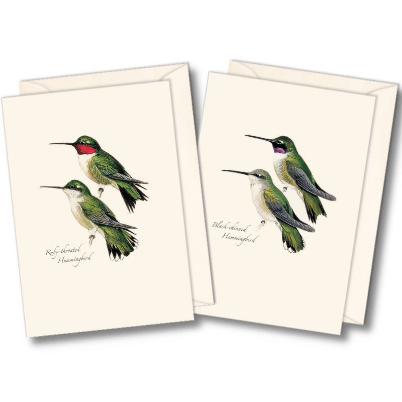 Earth Sky + Water - Petersons Hummingbird Notecard Set - 8 Blank Cards with Envelopes (4 each of 2 styles)