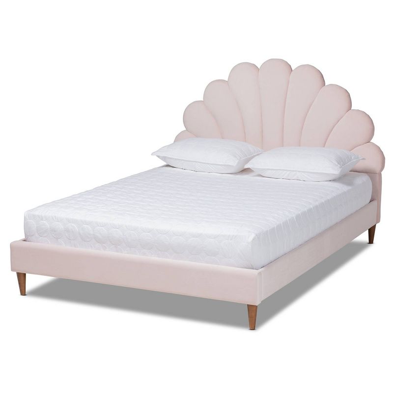Queen Odille Velvet Seashell Shaped Platform Bed Light Pink/Walnut - Baxton Studio: Glam Bedroom Furniture, Channel Tufted