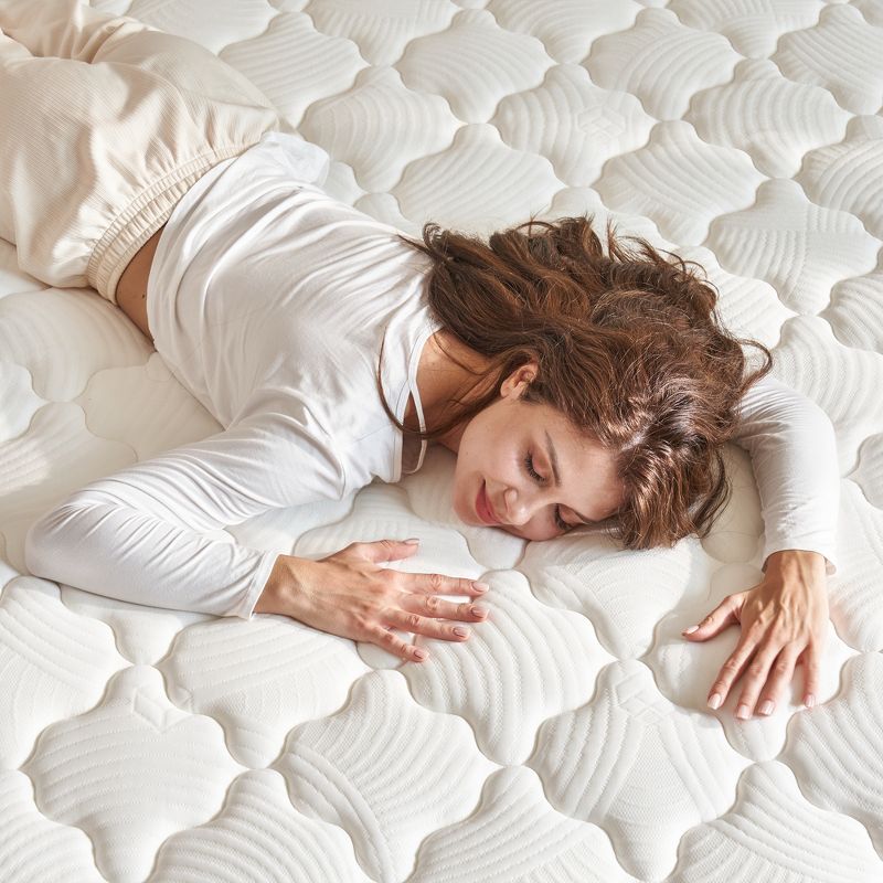 Dexmalle Hybrid Queen Mattress in a Box with Memory Foam and Pocket Spring