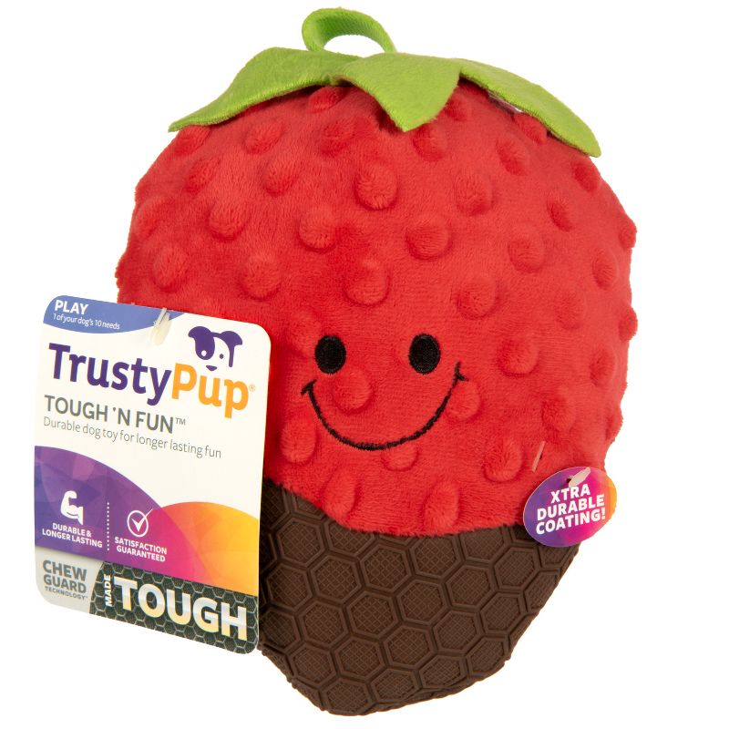 TrustyPup Cocoa Berry with Chew Guard Dog Toy